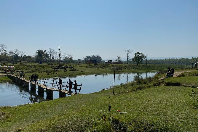 1 Night 2 Days Chitwan Jungle Safari Tour from Kathmandu - The resort stay and meals