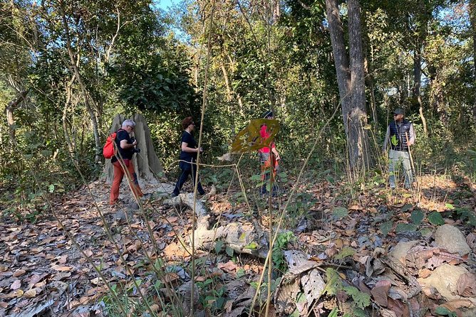 1 Night 2 Days Chitwan Jungle Safari Tour from Kathmandu - Day two: the morning jeep safari