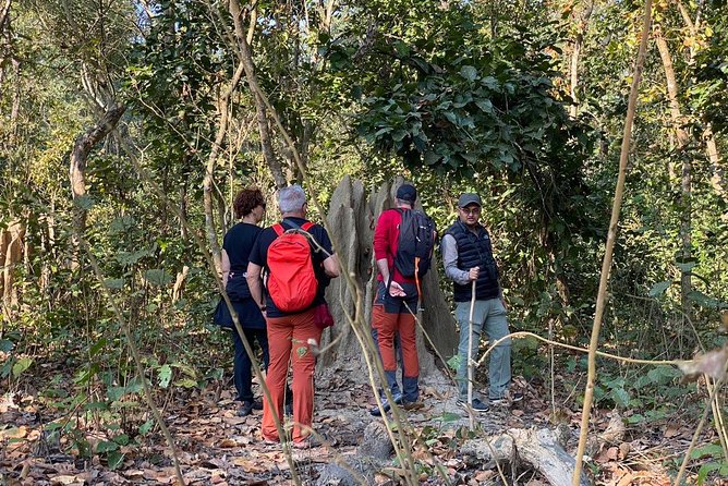 1 Night 2 Days Chitwan Jungle Safari Tour from Kathmandu - The return to Kathmandu