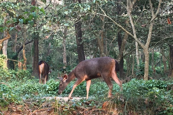 1 Night 2 Days Chitwan Jungle Safari Tour from Kathmandu - Who will enjoy this trip most