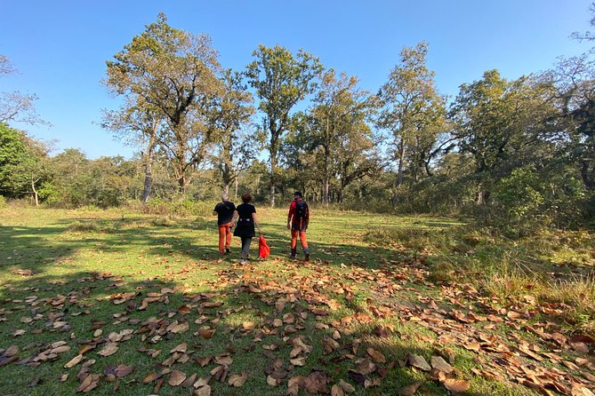1 Night 2 Days Chitwan Jungle Safari Tour from Pokhara or Kathmandu - The long ride from Kathmandu or Pokhara