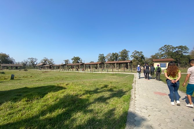 1 Night 2 Days Chitwan Jungle Safari Tour from Pokhara or Kathmandu - What the $140.80 price really covers