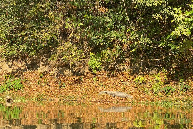 1 Night 2 Days Chitwan Jungle Safari Tour from Pokhara or Kathmandu - Day one: arrival, jeep safari, and the Rapti River