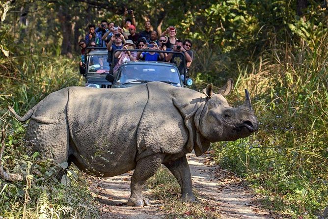 10 days Special Nepal Tour Package - The return to Kathmandu is scenic but long