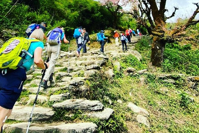 11-Day Hike Tour to Annapurna Base Camp Bliss in Kathmandu - Why this route gives you more than a base camp photo