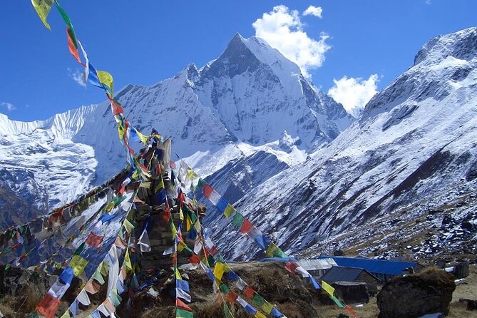 11-Day Hike Tour to Annapurna Base Camp Bliss in Kathmandu - Day 11: Flight back to Kathmandu and Thamel time