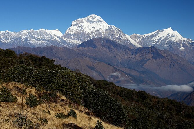 12-Day Nepal Adventure Trek with Jungle Safari - Day 4: From Nayapul to Tikhedhunga