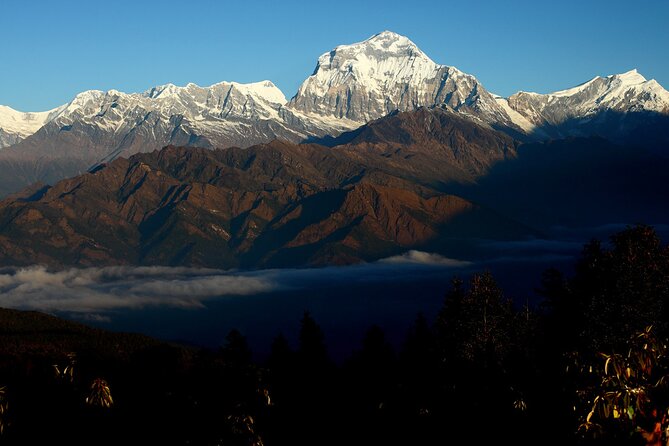 12-Day Nepal Adventure Trek with Jungle Safari - Day 7: Forest trails to Ghandruk