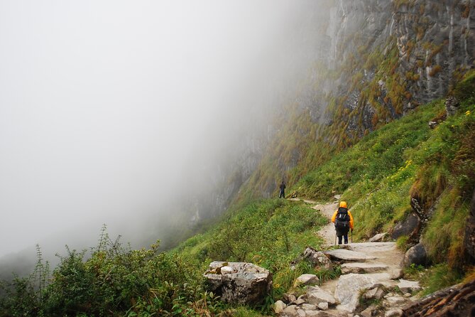 12 Days Annapurna Base Camp Trek - Day 4: Rhododendron forest and Ghorepani