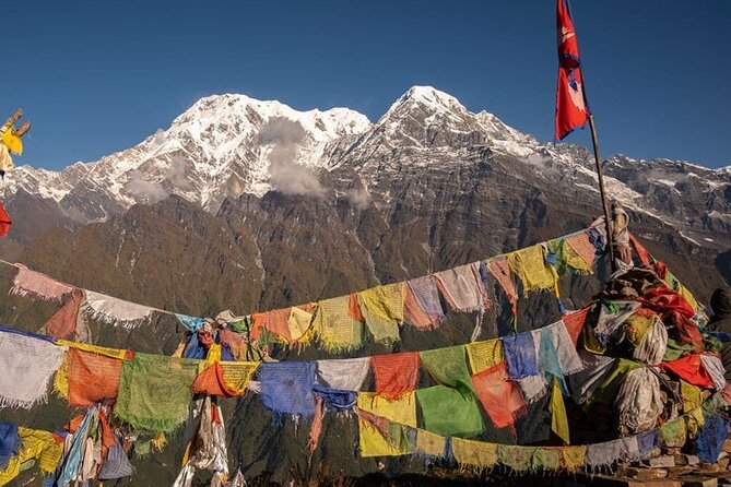 12 Days Annapurna Base Camp Trek - Day 6: The long approach through bamboo forest