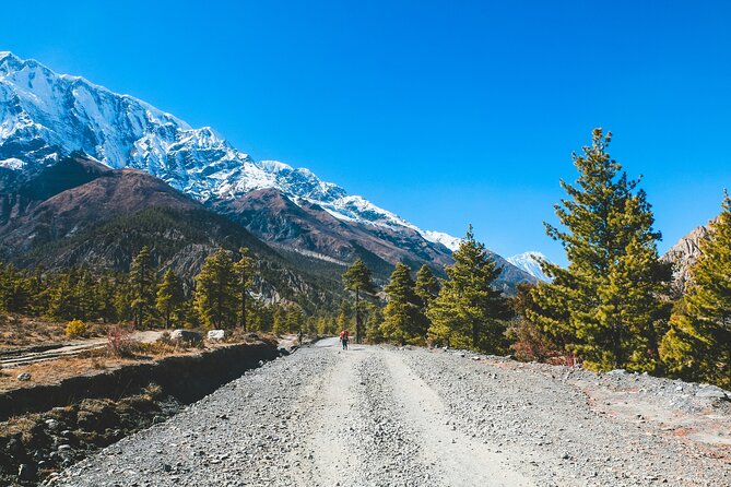 12 days Annapurna Circuit Trek - Day 2: Rhododendron forests and Chame