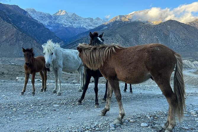 12 Days Overland Tour to Upper Mustang - Days 1 and 2: Kathmandu sets the cultural stage