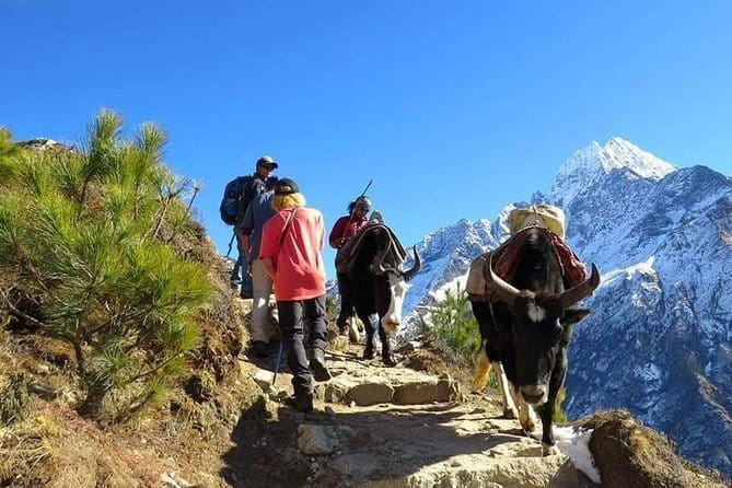 14 Days Everest Base Camp Trekking - Lobuche and the approach to the glacier