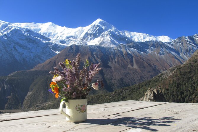 15-Day Private Annapurna Circuit Trek from Kathmandu - Days 11 to 12: Muktinath, Jomsom, and the Kali Gandaki route