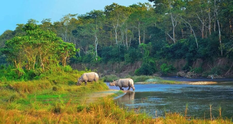 2 Days Chitwan Jungle Safari Tour from Pokhara/Kathmandu - Why a short Chitwan trip can still work