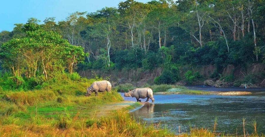 2 Days Chitwan Jungle Safari Tour from Pokhara/Kathmandu - Leaving Kathmandu or Pokhara at 6:00 AM