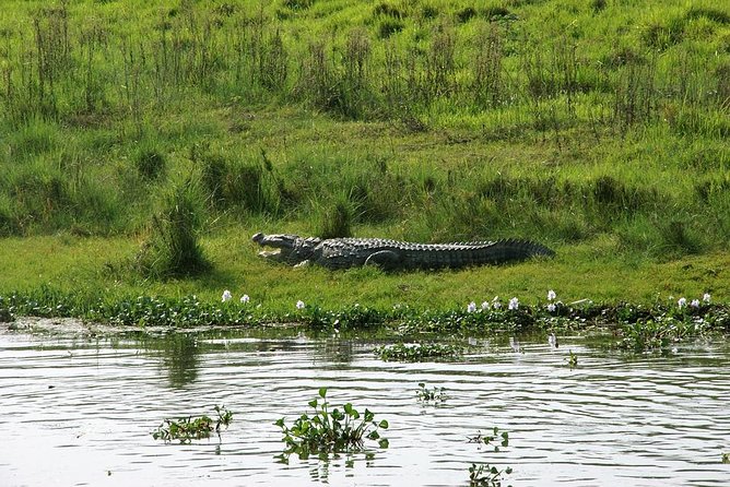 3-Day Chitwan Jungle Safari Tour from Kathmandu - Hotel, food, and what the $392 covers