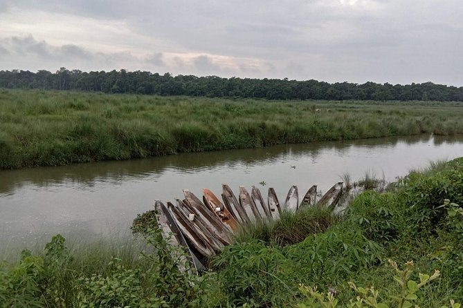 3-Day Chitwan Jungle Safari Tour from Kathmandu - Day 3: The return journey