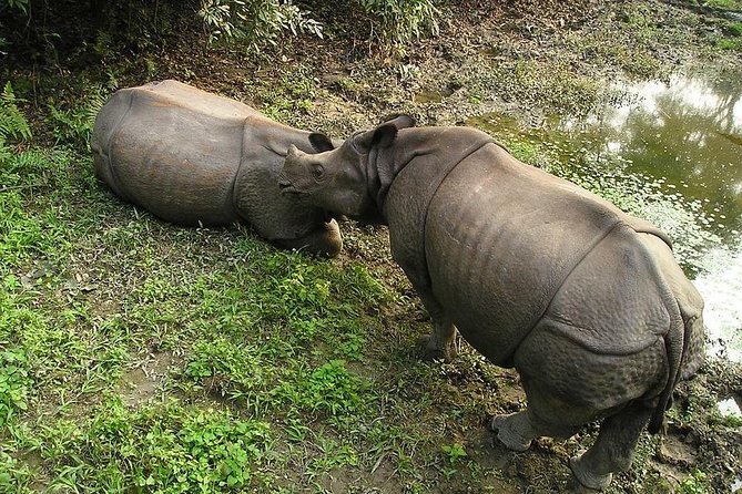 3-Day Chitwan Jungle Safari Tour from Kathmandu - FAQ