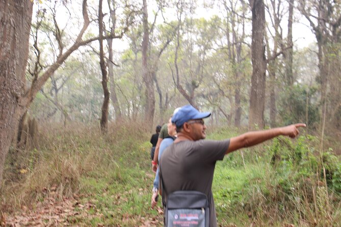 3-Day Chitwan National Park Jungle Safari Tour Package with Pick Up - Why this Chitwan trip works for a short Nepal visit