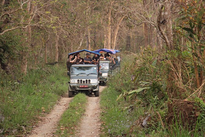 3-Day Chitwan National Park Jungle Safari Tour Package with Pick Up - Day three: a final bird walk and the return journey