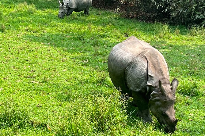 3-Day Guided Safari Tour in Chitwan National Park in Nepal - Why Chitwan works as a short break from Kathmandu