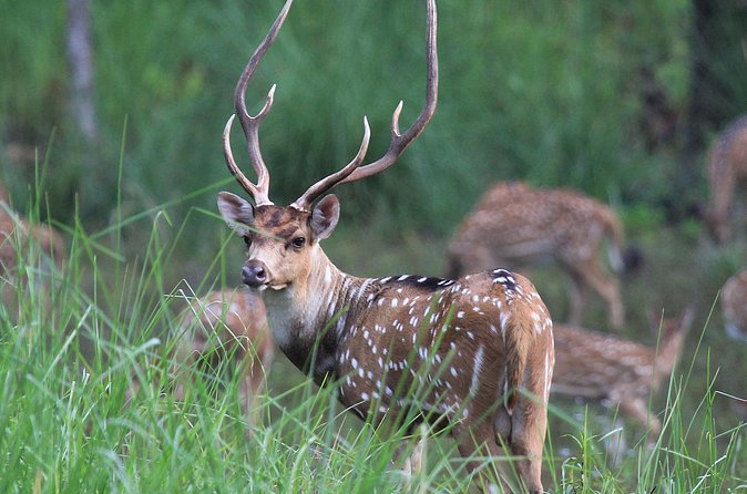 3 Days Jungle Safari in Chitwan National Park - Sunset beside the Rapti River