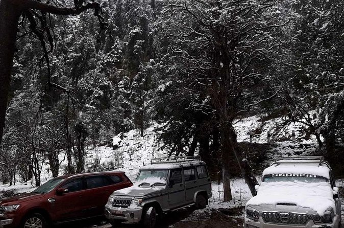 3 Days Kalinchowk Trekking from Kathmandu - Food, lodging, and what to pack