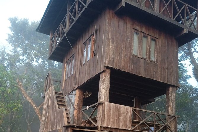 3 Nights 4 Days Chitwan National Park with Tower Night Stay - Why the tower night is the real highlight