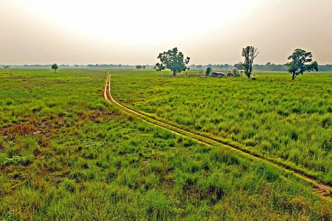 3 Nights 4 Days Chitwan National Park with Tower Night Stay - Day two: Rapti River canoeing and crocodile country