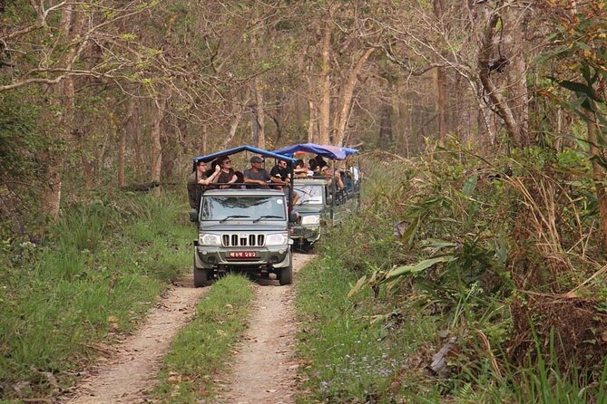 3 Nights 4 Days Chitwan National Park with Tower Night Stay - Tharu culture adds meaning beyond the animals