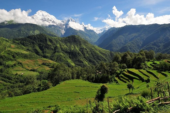 4-day Poon Hill Trek - Guide Purna and the value of local support