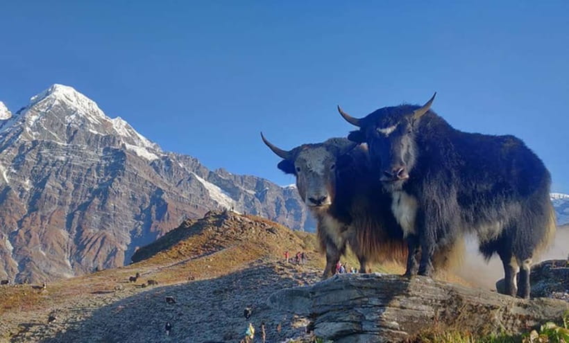 4 Days Pikey Peak Trek : The Best View of Mt Everest - Should you book the Pikey Peak trek?