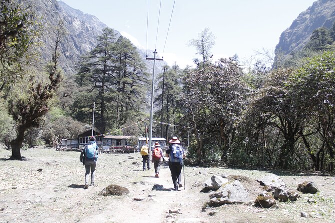 7 Days Langtang Valley Trek from Kathmandu - Day 3: Forest, chortens, and first major mountain views