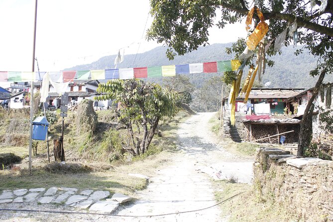 7 Days Langtang Valley Trek from Kathmandu - Day 6: Returning to Syabrubesi through green country