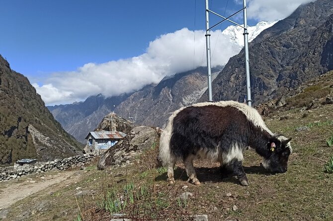 7 Days Langtang Valley Trek from Kathmandu - Day 1: Kathmandu to Syabrubesi by mountain road
