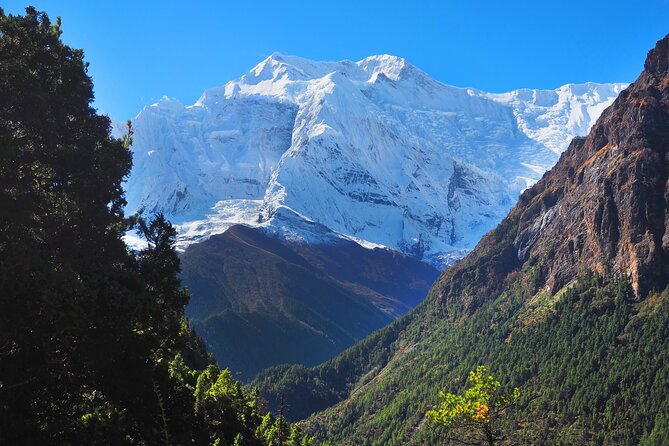 8 Days Private Guided Trekking in Annapurna Circuit with Pickup - Day 4: Acclimatization around Manang and Gangapurna Lake