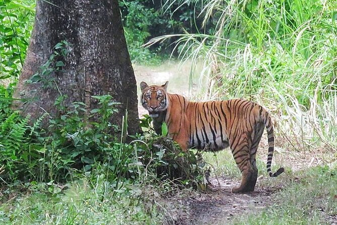 8 Days Tour in Nepal (Accommodation at 5 Star Hotel) - Why this route works for a first visit