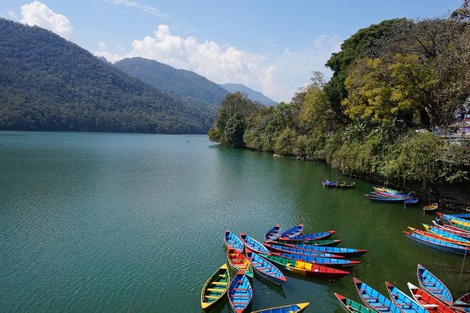 8 Days Tour in Nepal - Kathmandu, Chitwan & Pokhara (3 & 4 Star) - Day 4: A full day in Chitwan National Park