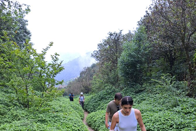 Amazing 1 Day Trekking Experience in Kathmandu Nepal - Champadevi and the Kathmandu Valley views