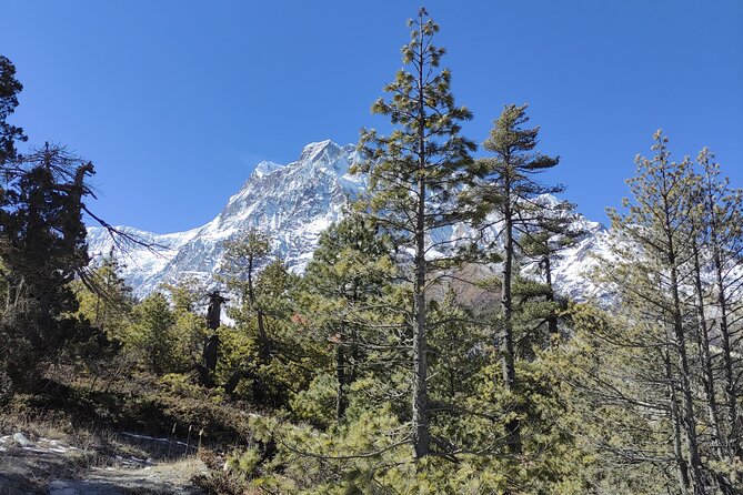Annapurna Base Camp Trek - 10 Days - Key points to know before you book