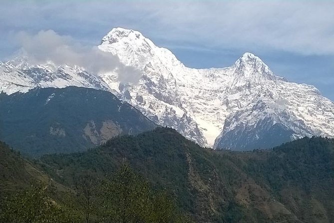 Annapurna Base Camp Trek - 11 Days - Day 6: Rhododendron forest, Sinuwa, and changing trail rhythm