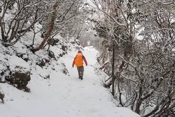 Annapurna base camp trek 5 Days - Day 4: Reaching Annapurna Base Camp
