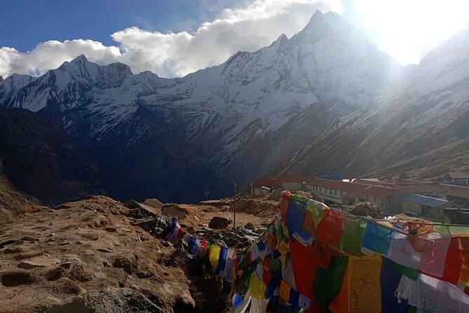 Annapurna Base Camp Trekking - Forest paths from Chuile to Sinuwa