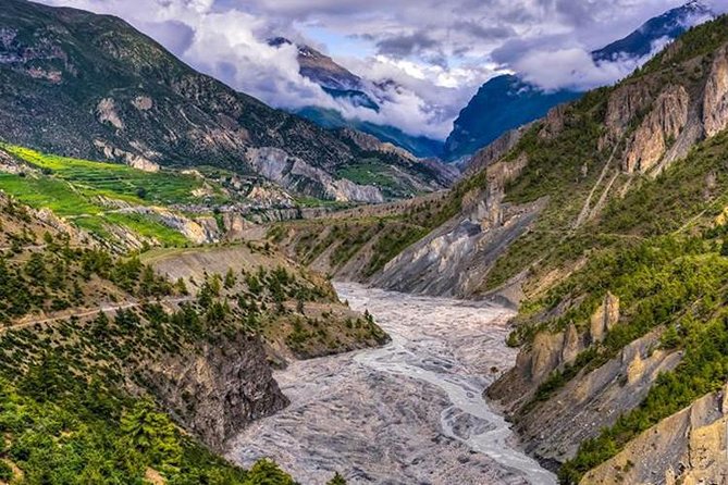 Annapurna Circuit with Tilicho Lake Trek - Forest trails and the approach to Manang