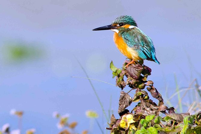 Best of Nepal Luxury Adventure Tour Package - 9 Days - At a glance: what makes this Nepal trip different