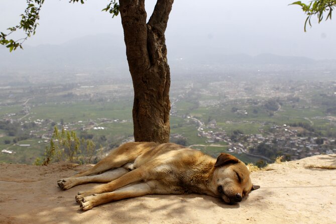 Changunarayan Hill to Telkot Hike Near Kathmandu Day Tour - Changunarayan Temple brings Nepalese history into view
