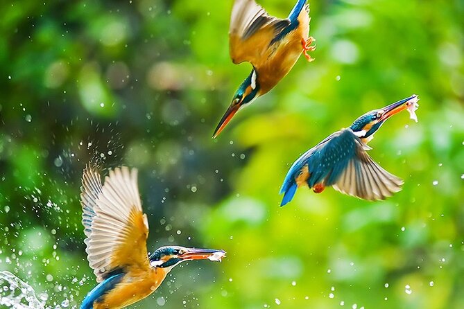 Chitwan 2 Nights All Inclusive Jungle Safari Tour - How the local communication affects the trip