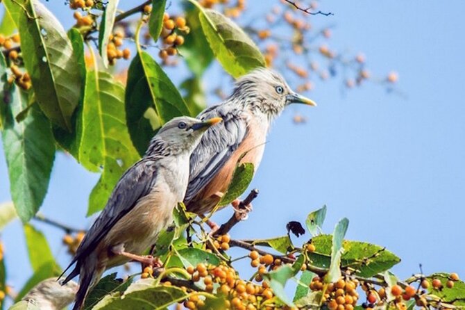 Chitwan 2 Nights All Inclusive Jungle Safari Tour - Day 2 on the Narayani River