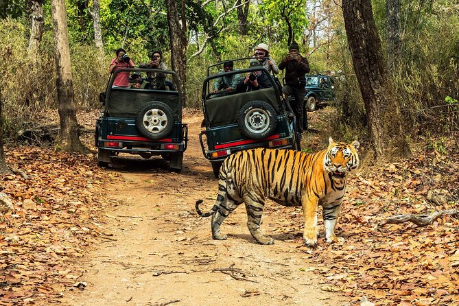 Chitwan Jungle Safari 3-Day Tour - Key points at a glance